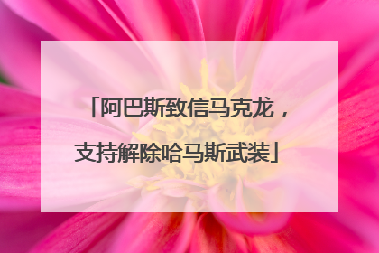 阿巴斯致信马克龙，支持解除哈马斯武装