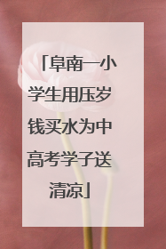 阜南一小学生用压岁钱买水为中高考学子送清凉