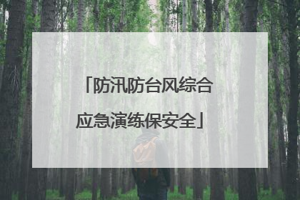 防汛防台风综合应急演练保安全