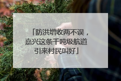 防洪增收两不误，嘉兴这条千吨级航道引来村民叫好