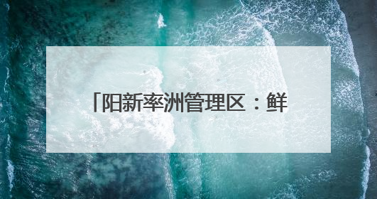 阳新率洲管理区：鲜桃“接力”上市 多品种拉长甜蜜采摘期