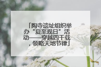 陶寺遗址组织举办“夏至观日”活动——穿越四千载，领略天地节律