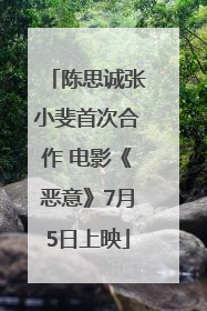 陈思诚张小斐首次合作 电影《恶意》7月5日上映