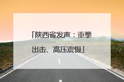 陕西省发声：重拳出击、高压震慑