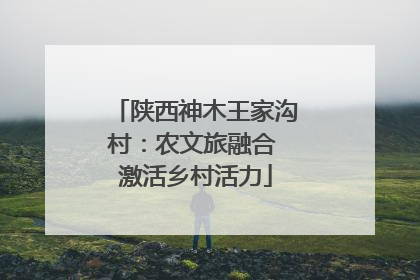 陕西神木王家沟村：农文旅融合 激活乡村活力