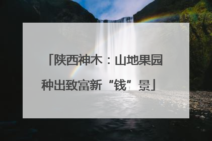 陕西神木：山地果园种出致富新“钱”景