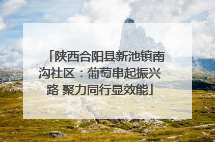 陕西合阳县新池镇南沟社区：葡萄串起振兴路 聚力同行显效能
