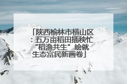 陕西榆林市横山区：五万亩稻田插秧忙 “稻渔共生”绘就生态富民新画卷