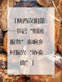 陕西汉阴第一书记“组团服务”奏响乡村振兴“协奏曲”