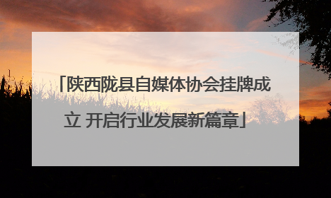 陕西陇县自媒体协会挂牌成立 开启行业发展新篇章