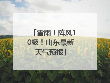 雷雨！阵风10级！山东最新天气预报
