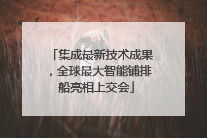 集成最新技术成果，全球最大智能铺排船亮相上交会