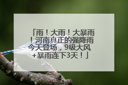 雨！大雨！大暴雨！河南真正的强降雨今天登场，9级大风+暴雨连下3天！