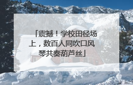 震撼！学校田径场上，数百人同吹口风琴共奏葫芦丝
