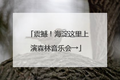 震撼！海淀这里上演森林音乐会→