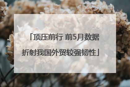 顶压前行 前5月数据折射我国外贸较强韧性