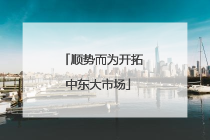 顺势而为开拓中东大市场
