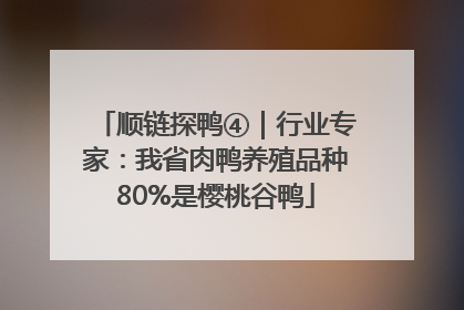 顺链探鸭④｜行业专家：我省肉鸭养殖品种80%是樱桃谷鸭