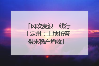 风吹麦浪一线行丨定州：土地托管带来稳产增收