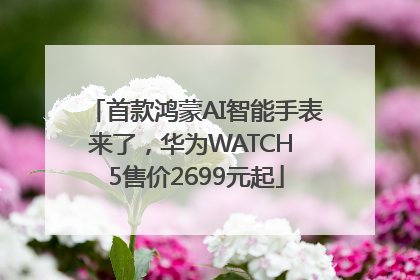 首款鸿蒙AI智能手表来了，华为WATCH 5售价2699元起
