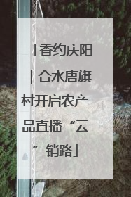 香约庆阳｜合水唐旗村开启农产品直播“云”销路