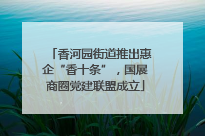 香河园街道推出惠企“香十条”，国展商圈党建联盟成立