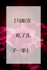 马斯克：吃了儿子一拳