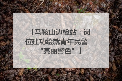马鞍山边检站：岗位建功绘就青年民警“亮丽警色”