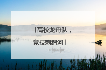 高校龙舟队，竞技刺猬河