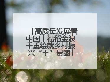 高质量发展看中国丨福稻金浪千重绘就乡村振兴“丰”景图
