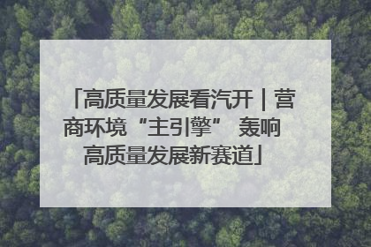 高质量发展看汽开｜营商环境“主引擎” 轰响高质量发展新赛道