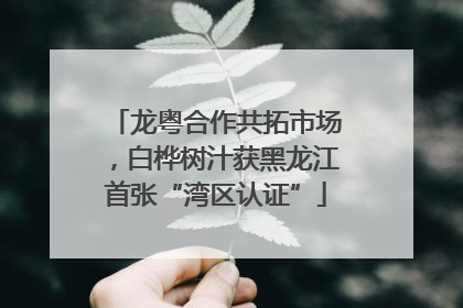 龙粤合作共拓市场，白桦树汁获黑龙江首张“湾区认证”