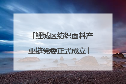 鲤城区纺织面料产业链党委正式成立
