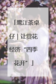 鹭江茶桌仔｜让赏花经济“四季花开”
