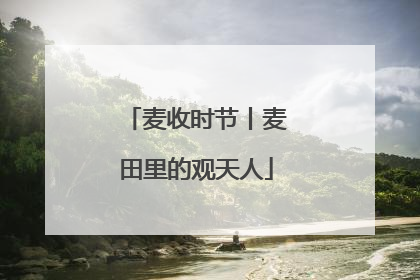 麦收时节丨麦田里的观天人
