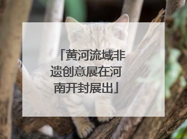 黄河流域非遗创意展在河南开封展出