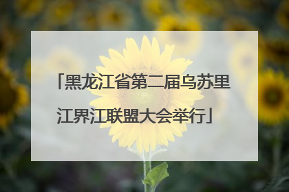 黑龙江省第二届乌苏里江界江联盟大会举行