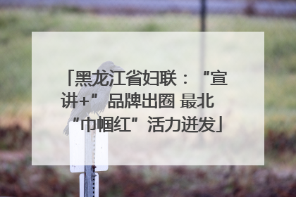 黑龙江省妇联：“宣讲+”品牌出圈 最北“巾帼红”活力迸发