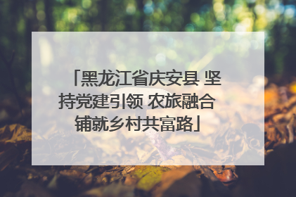 黑龙江省庆安县 坚持党建引领 农旅融合铺就乡村共富路