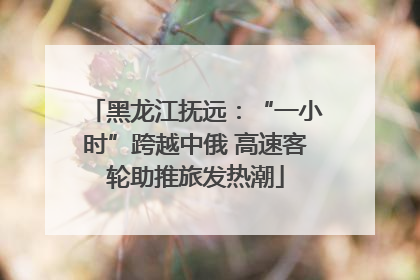 黑龙江抚远：“一小时”跨越中俄 高速客轮助推旅发热潮