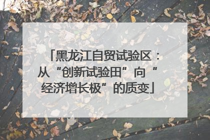 黑龙江自贸试验区：从“创新试验田”向“经济增长极”的质变