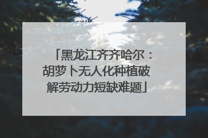 黑龙江齐齐哈尔：胡萝卜无人化种植破解劳动力短缺难题
