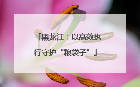 黑龙江：以高效执行守护“粮袋子”