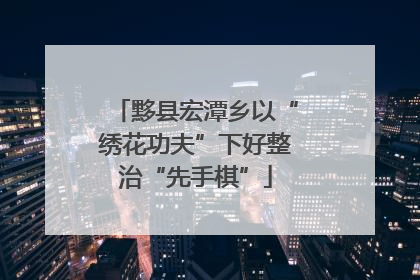 黟县宏潭乡以“绣花功夫”下好整治“先手棋”