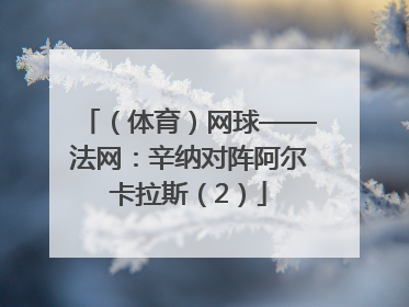 （体育）网球——法网：辛纳对阵阿尔卡拉斯（2）