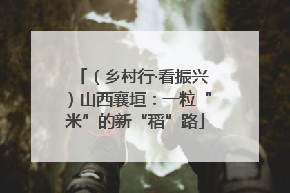 （乡村行·看振兴）山西襄垣：一粒“米”的新“稻”路