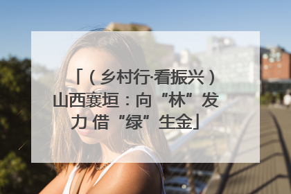 (乡村行·看振兴)山西襄垣:向“林”发力 借“绿”生金