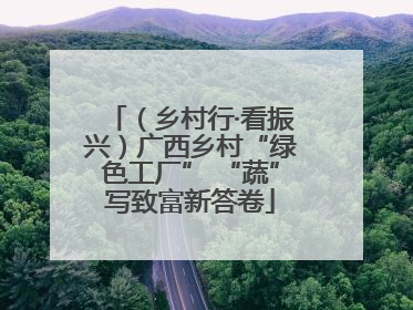 （乡村行·看振兴）广西乡村“绿色工厂” “蔬”写致富新答卷