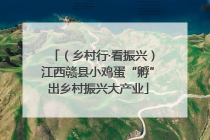 （乡村行·看振兴）江西赣县小鸡蛋“孵”出乡村振兴大产业