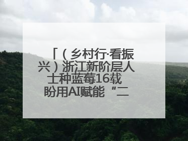 （乡村行·看振兴）浙江新阶层人士种蓝莓16载 盼用AI赋能“二次创业”